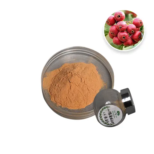 Hawthorn Berry Extract Poeder